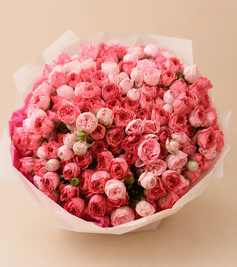 Rose love